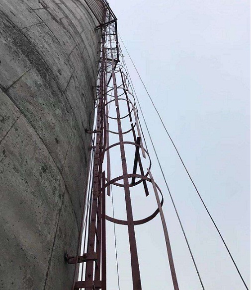 timg - 2020-08-01T102413.215.jpg