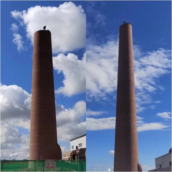 1707458883403250.jpg 0029.jpg